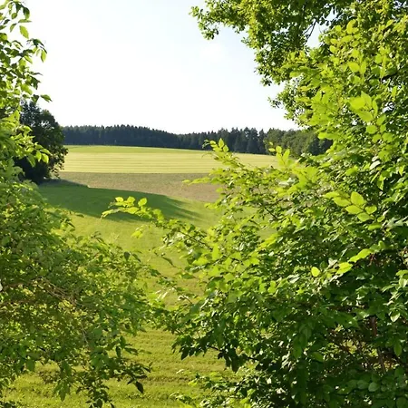 펜션 Ferienhaus Mondschein